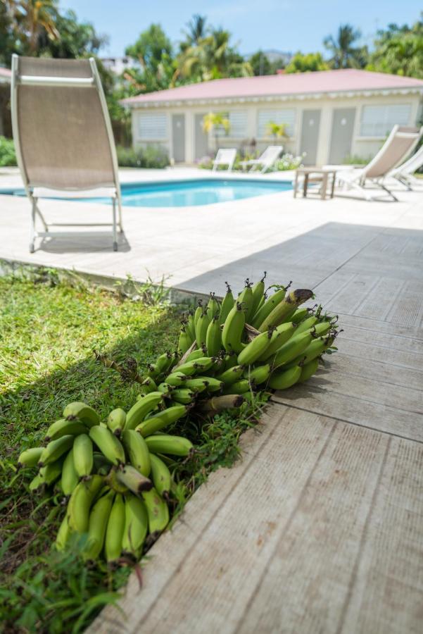 Hotel Les Bananiers Le Gosier  Bagian luar foto